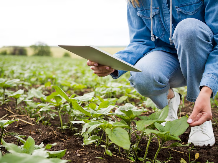 Capacitación agencias censales CENAGRO